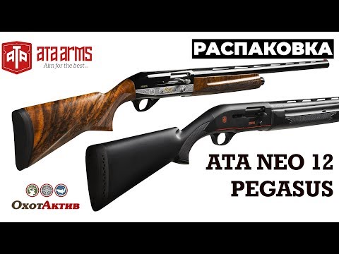Hatsan Escort Sd12 Ts